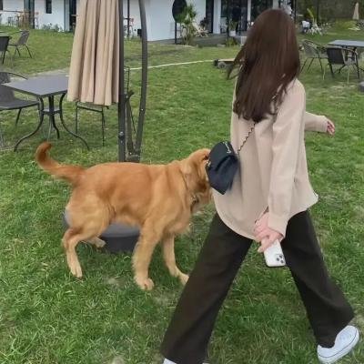 与狼共伍