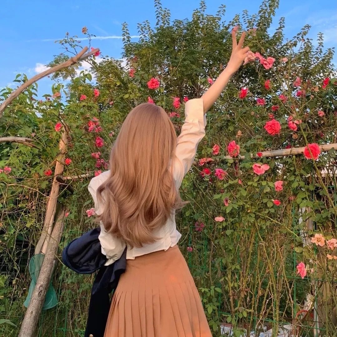 蜜蜂酿蜜