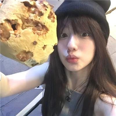 布里斯比熊
